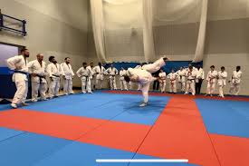 Image result for Croydon Judo Club