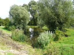 Image result for Nassington Cc