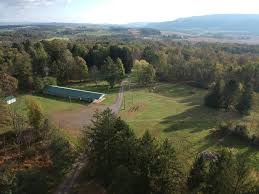 Image result for Clyde Valley Pistol Club