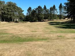 Image result for Forfar Golf Club