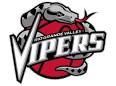 Vipers