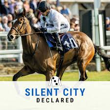 Image result for Elite Racing Club