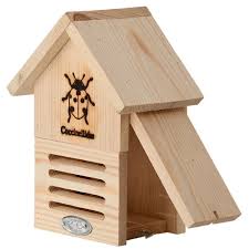 Image result for ladybug house