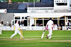 Image result for Newton Cricket Club