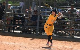 Image result for Cheetahs Softball Team