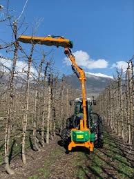 Image result for coupeco tehron