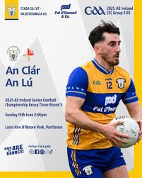 Image result for Clarehurlers