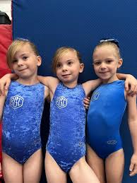 Image result for Brumby Gymnastics Club