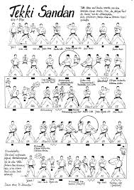 Image result for Sandokai Karate