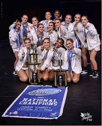 Image result for Angels Dance Squad