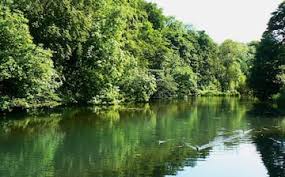 Image result for Nailsworth Mills Bowls Club