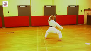 Image result for Stockport Shotokan Karate Club