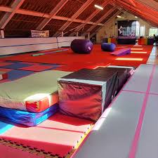 Image result for Phoenix Acro Gymnastics Club