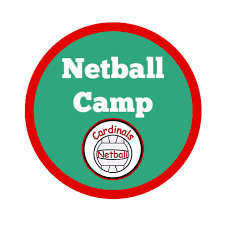 Image result for Elmbridge Netball Club
