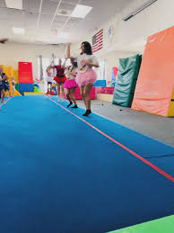 Image result for Acrobrats