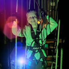 Image result for Go Ape! Leeds Castle