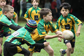 Image result for Henley Rugby Football Club