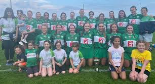 Image result for Wolfe Tones Gaelic Athletic Club