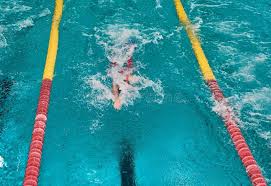Image result for Swansea Finswimming Club