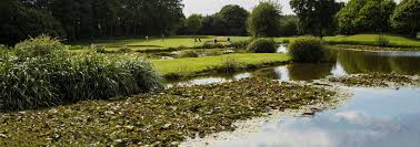 Image result for Hurtmore Badminton Club