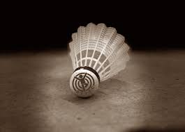 Image result for Dane End Junior Badminton Club