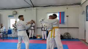 Image result for Tang Sou Dao Ren Yi Wu Kwan - Houghton & Wyton