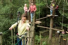 Image result for Go Ape! Thetford