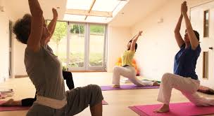 Image result for Affiliated Sivananva Yoga Teacher