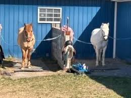 Image result for Lower Farm Stables