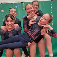 Image result for Haverfordwest Gymnastics Club
