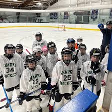 Image result for Wallingford Hockey Club