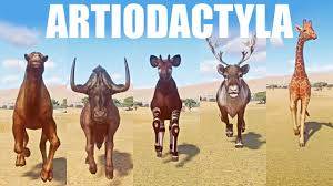 Attēlu rezultāti vaicājumam “Artiodactyla”