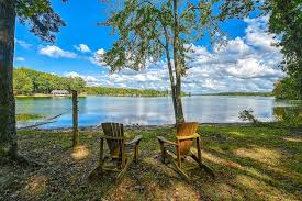 Image result for Lowestoft & District Canoe Club