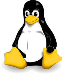 Cheap web hosting” title=