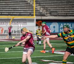 Image result for hurling