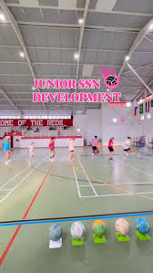 Image result for Southside Netball Club