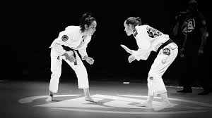 Image result for United Sport Karate