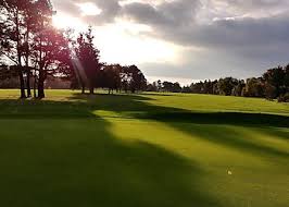Image result for Falkirk Tryst Golf Club