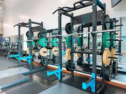 Image result for Swallows Of Helston Gym Club