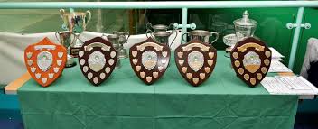 Image result for South Hams Indoor Bowls Club