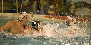 Image result for Swindon Dolphins