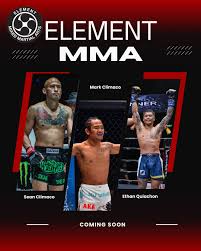 Image result for Full Element Mixed Martial Arts