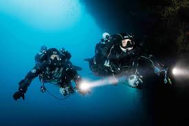 Image result for Headstream Divers