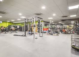 Image result for Ingleby Gymnastics Club