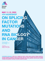 Image result for Yeo Bowmen