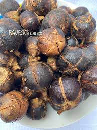 Attēlu rezultāti vaicājumam “Galega orientalis fruit”