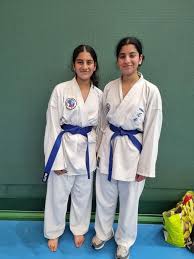 Image result for Barking Abbey Ishinryu