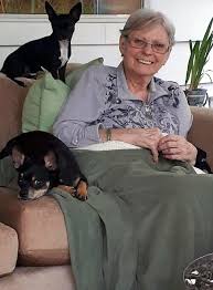 Image result for Surrey Bowmen