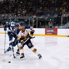 Image result for Romford Raiders