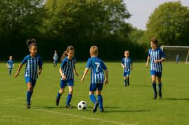 Image result for South Lincoln Jfc